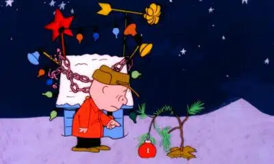 an image from charlie brown christmas special