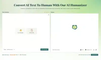 AIAIHumanizer program