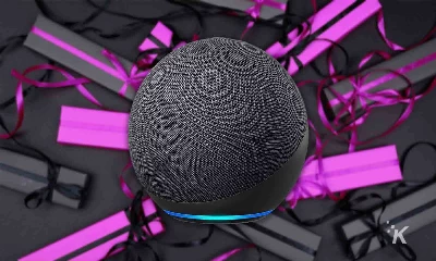 echo speaker with alexa