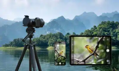 Camera gear capturing bird in scenic mountain lake setting.