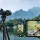 Camera gear capturing bird in scenic mountain lake setting.