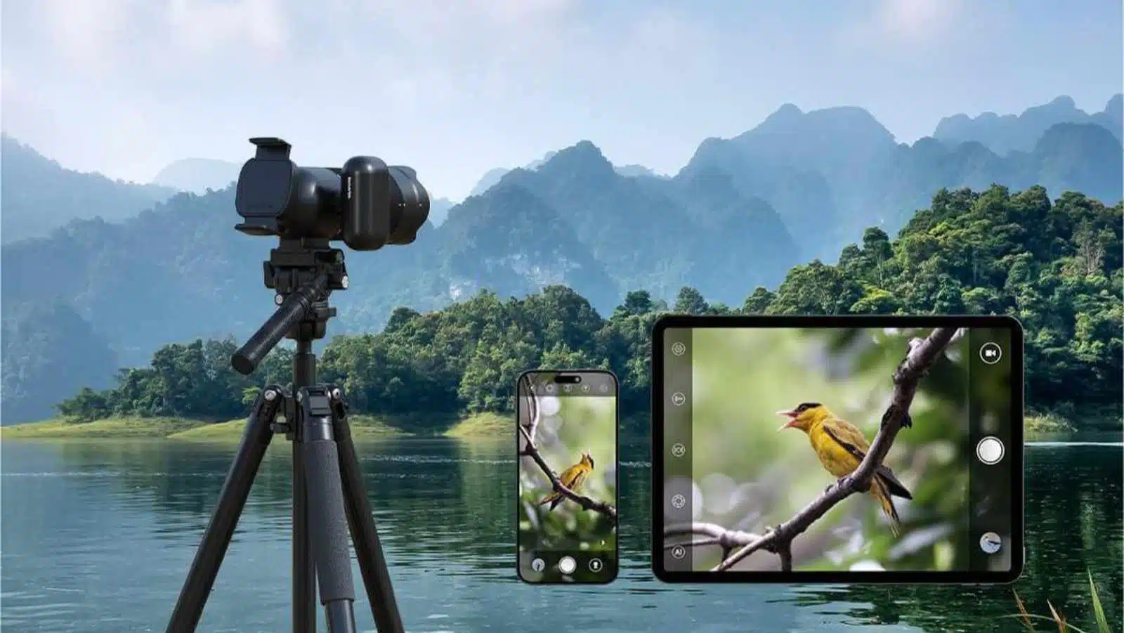 Camera gear capturing bird in scenic mountain lake setting.