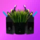 The image shows a black speaker with a pot of grass on top, surrounded by colorful pencils, against a gradient purple and pink background.