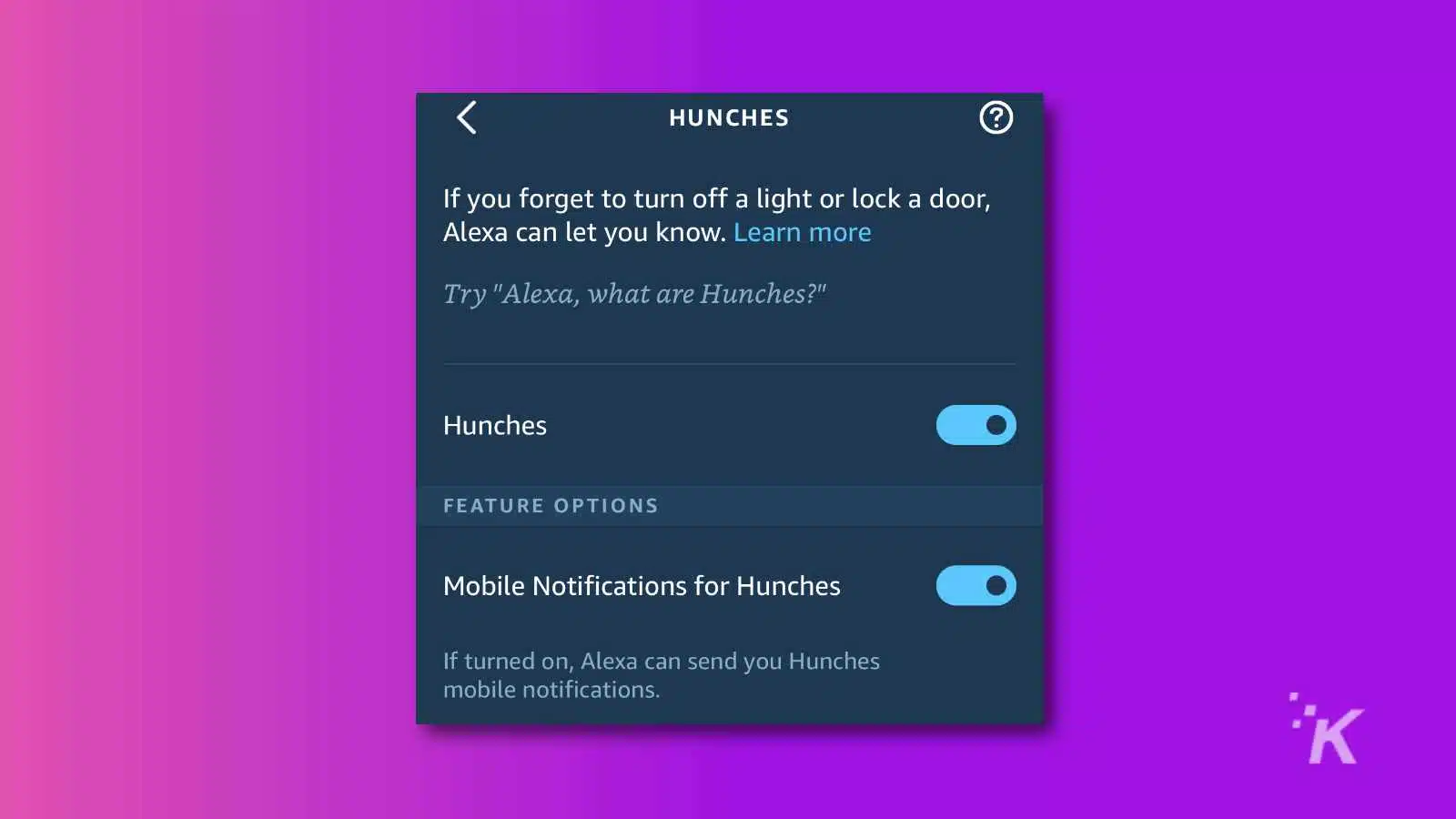 alexa hunches