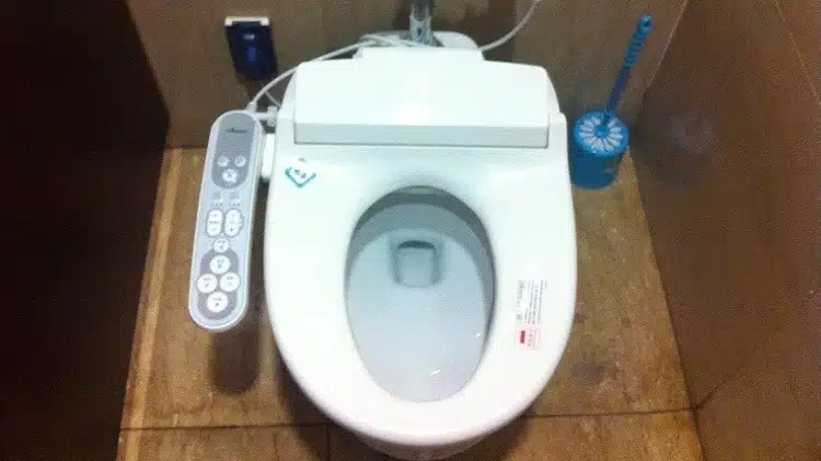 Korean Toilet