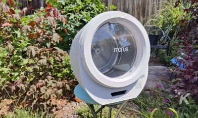 morus zero portable dryer in backyard