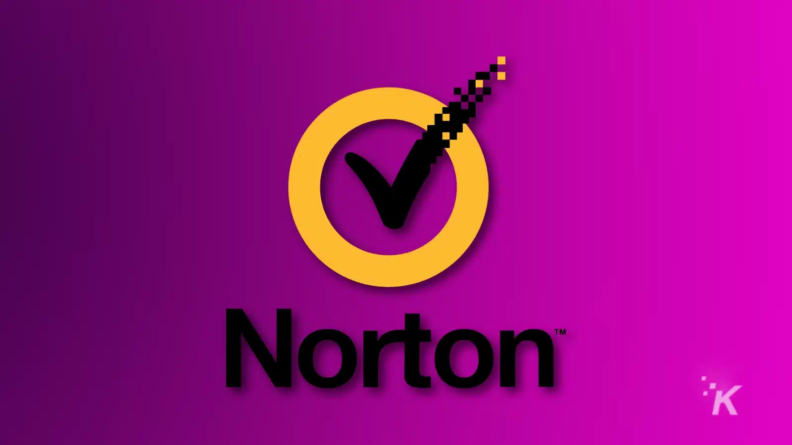 Norton logo with pixelated checkmark on purple background.