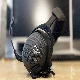 Stinger Core 2 gaming headphones