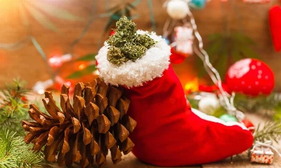 marijuana in a stocking at christmas