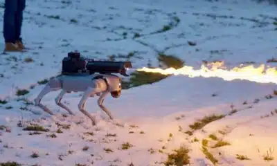 thermonator flamethrower-equipped robot dog in action on a snowy field
