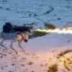 thermonator flamethrower-equipped robot dog in action on a snowy field